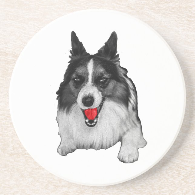 Cookie Hour Companion Coaster (Front)