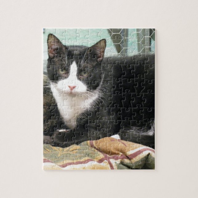 Cookie Jigsaw Puzzle (Vertical)