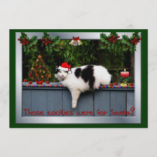 Cookie Loving Cat Invitation
