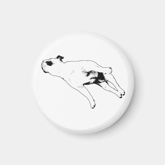 Cookie-Tray Calm Magnet (Front)