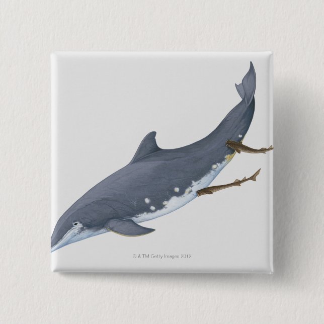 Cookiecutter Sharks 15 Cm Square Badge (Front)