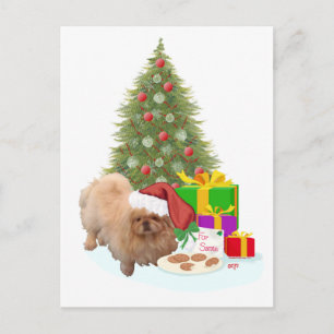 Cookies for Santa Claus Holiday Postcard