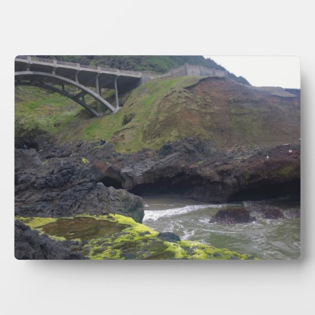 Cook's Chasm, Cape Perpetua, OR Plaque (Front)