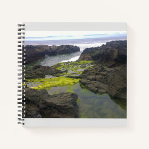 Cook's Chasm, Cape Perpetua, Oregon Notebook