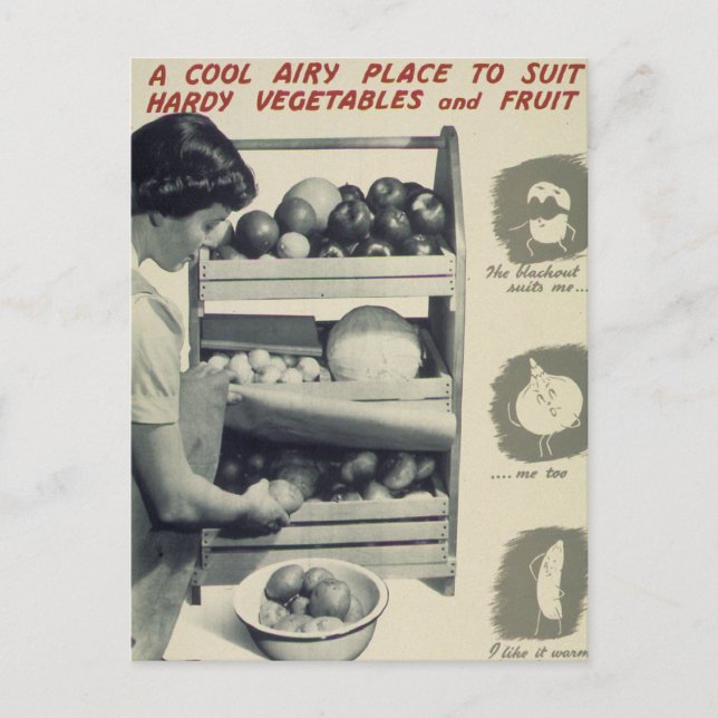 Cool Airy Place For Vegetables Postcard (Front)