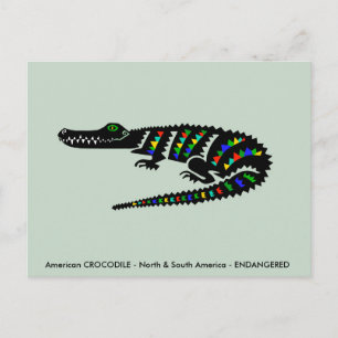 Cool American CROCODILE - Wildlife - Nature Green Postcard