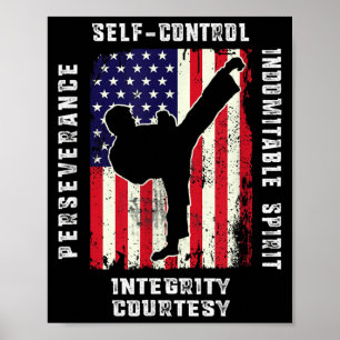 Cool American Flag Taekwondo Gift _ Tae Kwon Do Poster
