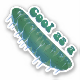 Cool as a Cucumber