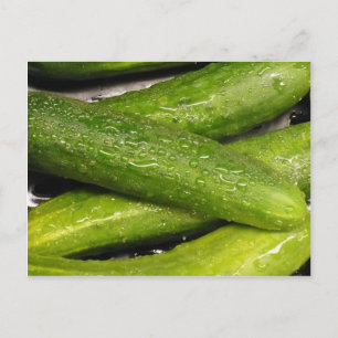 cool As A cucumber Postcard