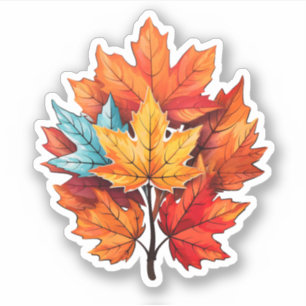 Cool Autumn Colours Leaves Thanksgiving Fall Maple
