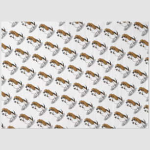 Cool Basset Hound dog and sunglasses (tri-colour 1 Tissue Paper
