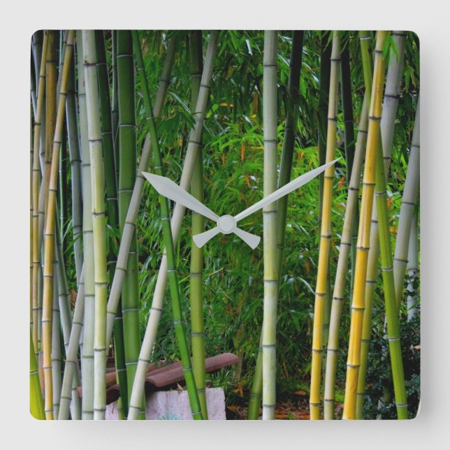 Cool Beautiful Bamboo Grove Green Yellow & Grey Square Wall Clock (Front)
