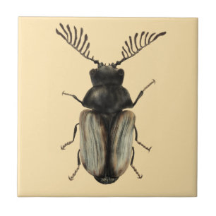 Cool beetle insect lover entomology art ceramic tile