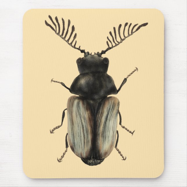 Cool beetle insect lover entomology art mouse pad (Front)