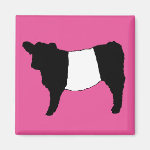 Cool Belted Galloway Cattle Rare Cow Beltie Steer Magnet