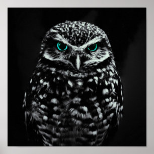 Cool Black And White Owl with Cyan Eyes Poster