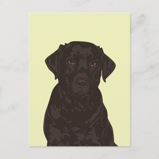 Cool Black Labrador Retriever Dog Postcard (Front)