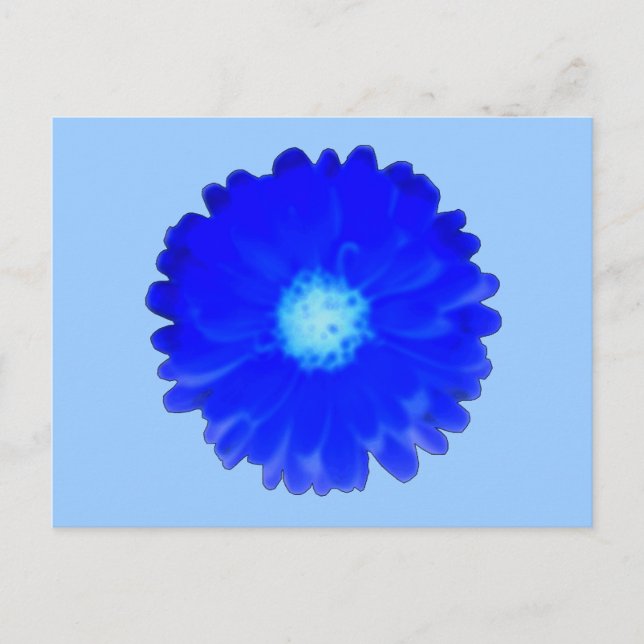 Cool Blue Marigold Postcard (Front)