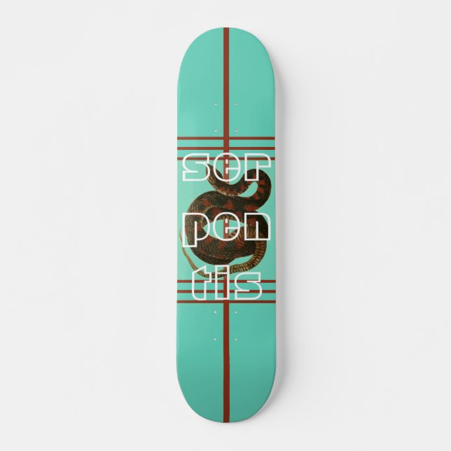 Cool Blue Serpent Design Skateboard for Beginners (Front)