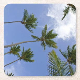 Cool Blue Sky and Palm Trees Square Paper Coaster