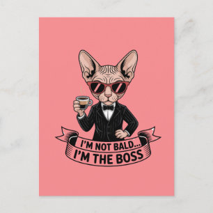 Cool Boss Sphynx Cat Coffee Art Postcard