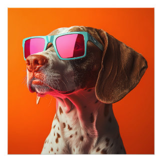 Cool Bracco italiano dog with sunglasses Photo Print