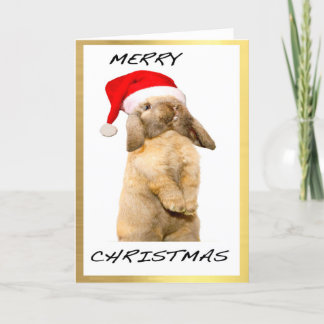 "Cool Bunny" design Christmas cards