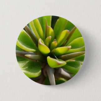 Cool Cactus 6 Cm Round Badge