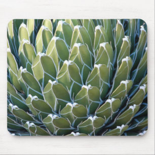 Cool Cactus Mousepad