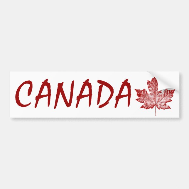 Cool Canada Bumper Sticker Distressed Maple Leaf (Front)