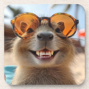 Cool Capybara Coaster