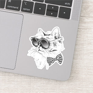 Cool Cat
