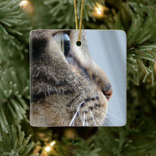 Cool Cat Face Profile Close-Up Photo Ceramic Ornament (Tree)