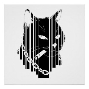 Cool cat graphic design Artwork Poster