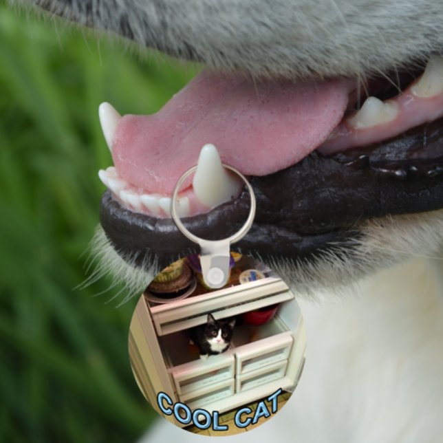 Cool Cat keychain (Creator Uploaded)