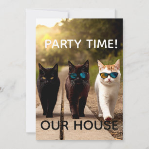 COOL CAT PARTY INVITATIONS