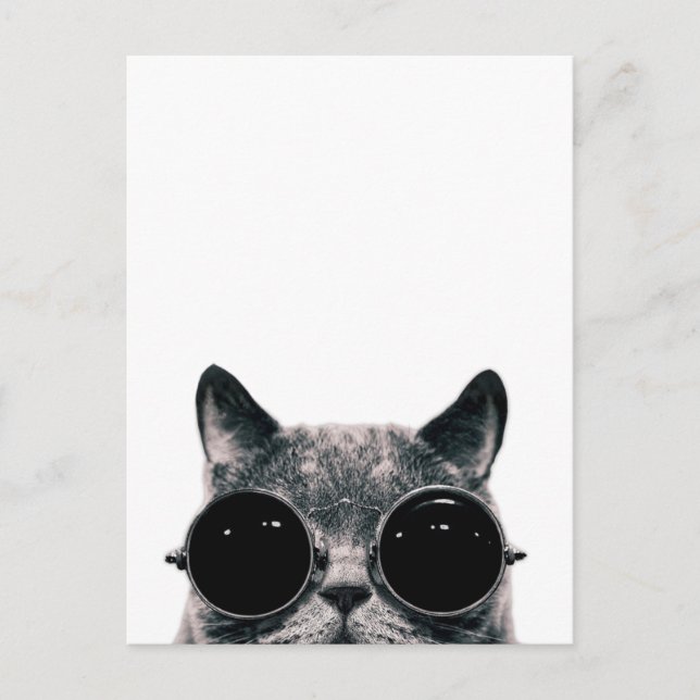 COOL CAT. POSTCARD (Front)