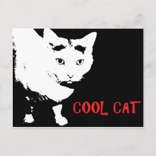 COOL CAT POSTCARD