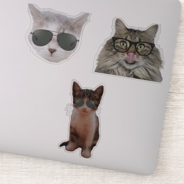 Cool Cat Wearing Sunglasses (Detail)