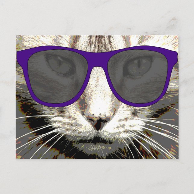 cool cat wearing sunglasses postcards (Front)