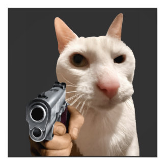 Cool Cat With Gun Funny Meme Photo Print