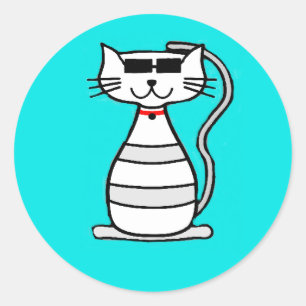 Cool Cat with sunglasses Classic Round Sticker