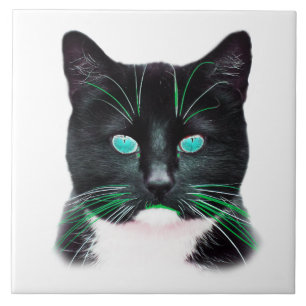 Cool Cat with Turquoise Eyes Ceramic Tile