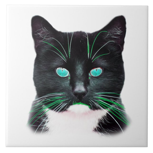 Cool Cat with Turquoise Eyes Ceramic Tile (Front)