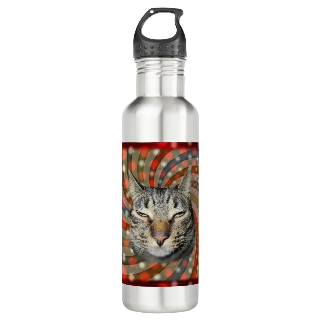 Cool Cat – YOU CAPTION Your Gift! 710 Ml Water Bottle (Front)