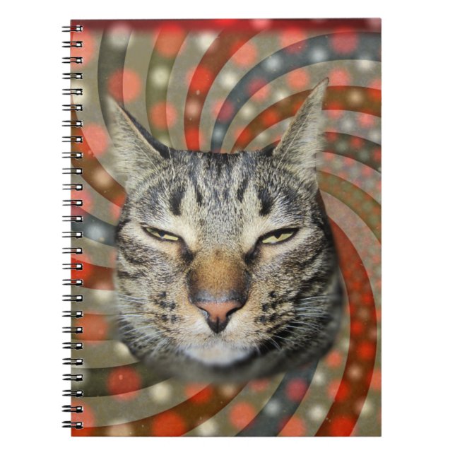 Cool Cat – YOU CAPTION Your Gift! Notebook (Front)