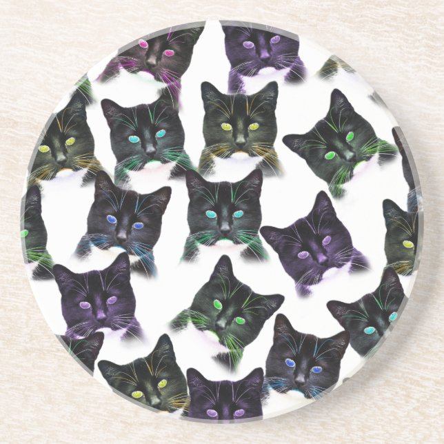 Cool Cats Coaster (Front)