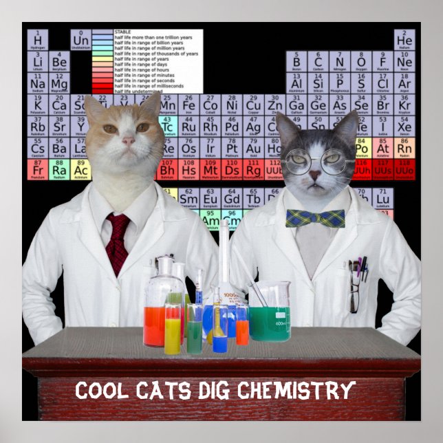 Cool Cats Dig Chemistry Poster (Front)