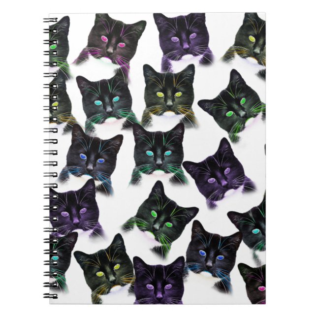 Cool Cats Notebook (Front)
