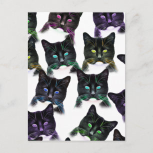 Cool Cats Postcard